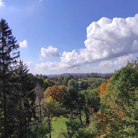 Harzer Weitblick, Hunde Willkommen, W-lan, 2x Smart Tv, Dtv 4 Sterne, 4 Pfoten Apartment