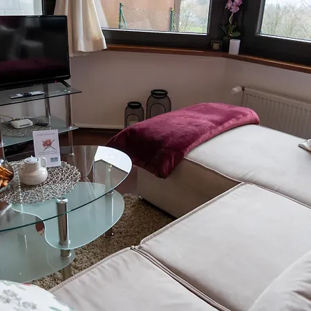 Harzer Weitblick, Hunde Willkommen, W-lan, 2x Smart Tv, Dtv 4 Sterne, 4 Pfoten *