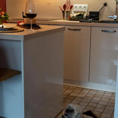 Harzer Weitblick, Hunde Willkommen, W-lan, 2x Smart Tv, Dtv 4 Sterne, 4 Pfoten