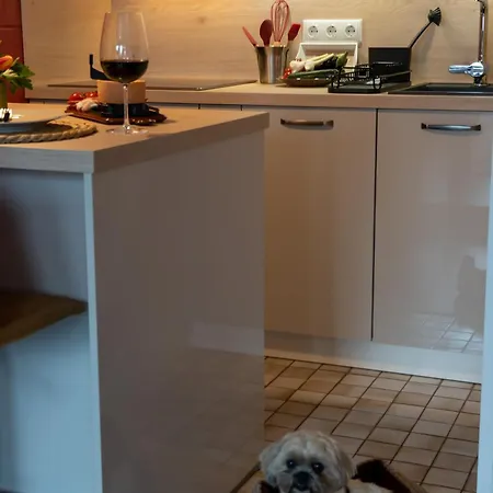 Apartment Harzer Weitblick, Hunde Willkommen, W-lan, 2x Smart Tv, Dtv 4 Sterne, 4 Pfoten