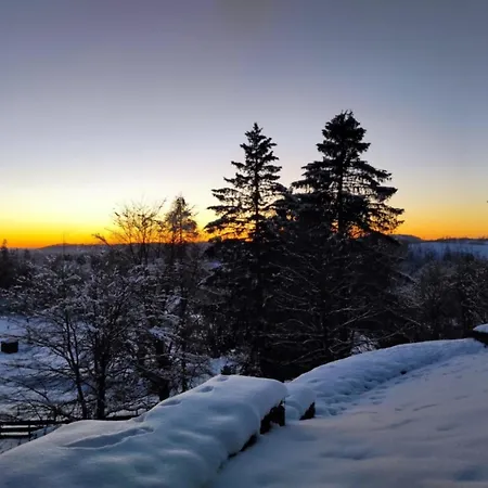 Harzer Weitblick, Hunde Willkommen, W-lan, 2x Smart Tv, Dtv 4 Sterne, 4 Pfoten Apartment Braunlage
